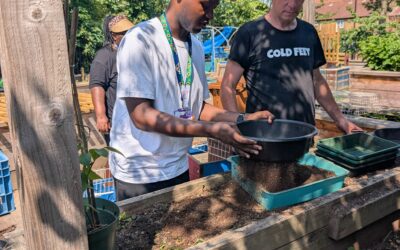Bringing Titmuss Avenue Community Garden Back to Life